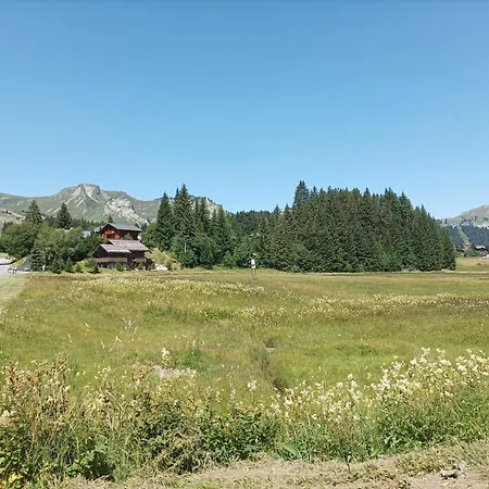 Praz De Lys - Les Pralyssimes 타낭즈